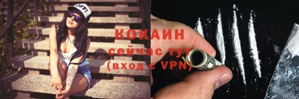 индика Бугульма