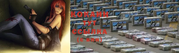 крисы Богородск