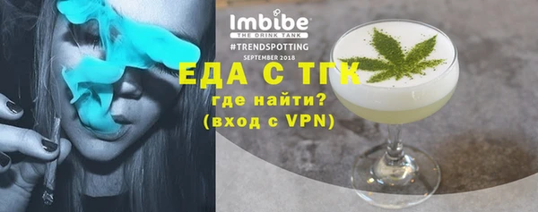 индика Бугульма