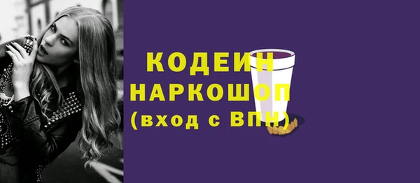 индика Бугульма
