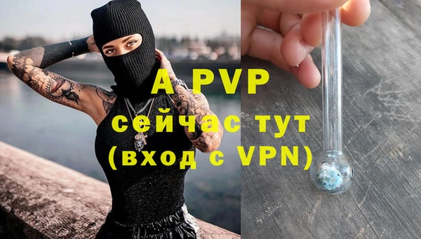 крисы Богородск