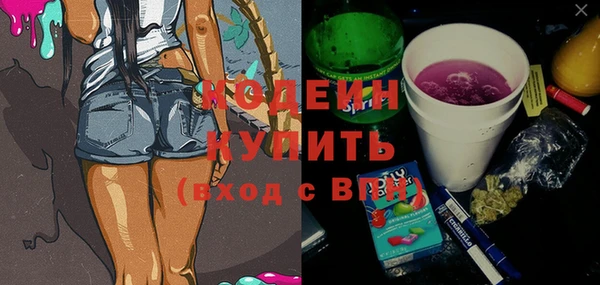 индика Бугульма