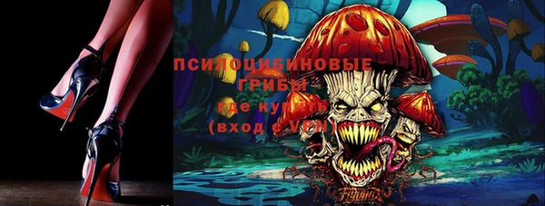 марки lsd Богданович