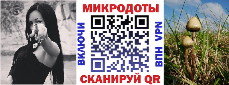 ссылка на мегу ТОР дарнет шоп Коркино Псилоцибиновые грибы Cubensis